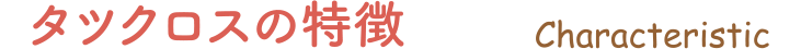 タツクロスの特徴